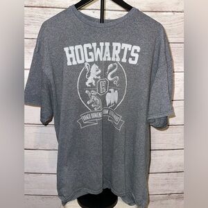 Hogwarts Gray Graphic T-Shirt